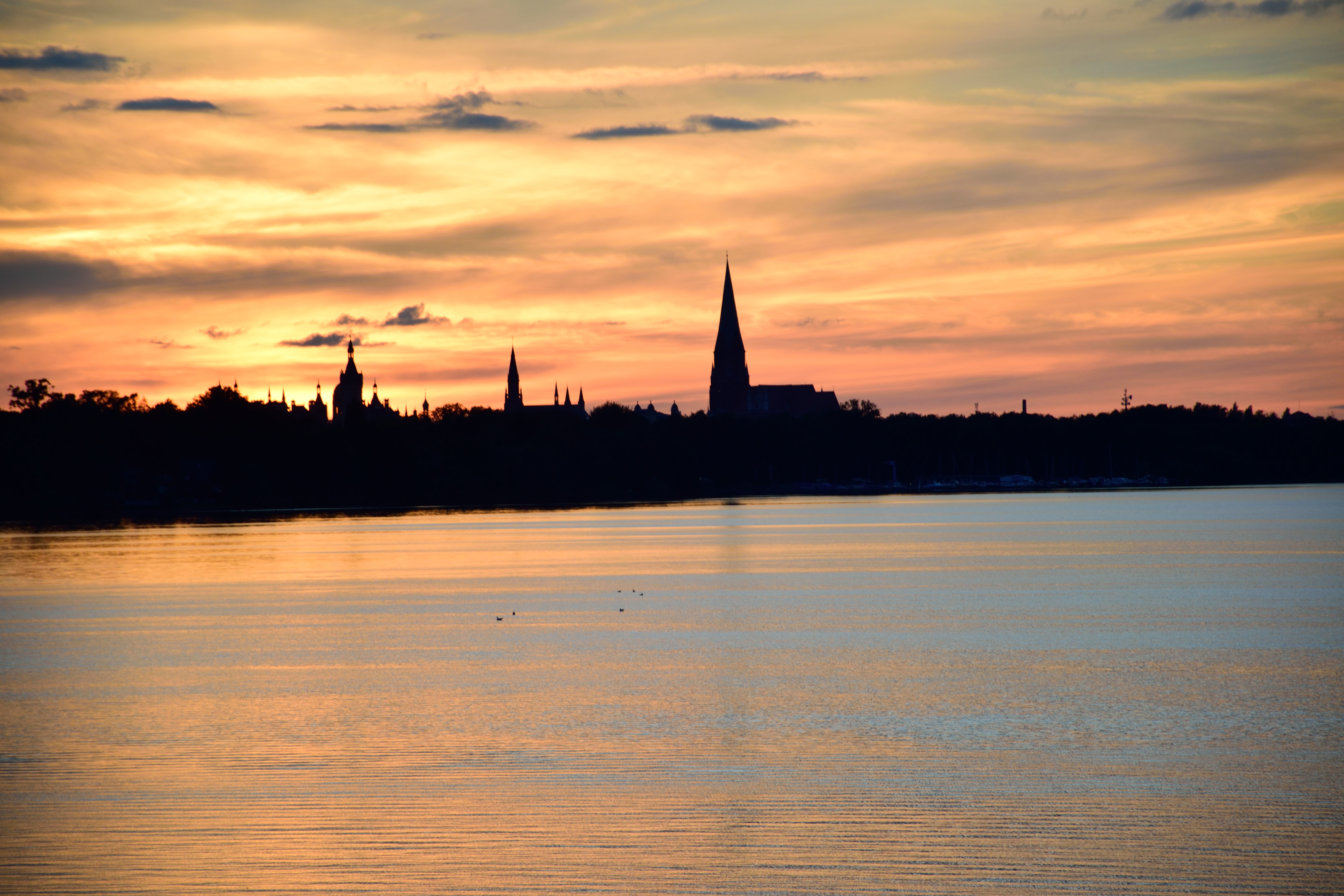 DSC_0002.JPG