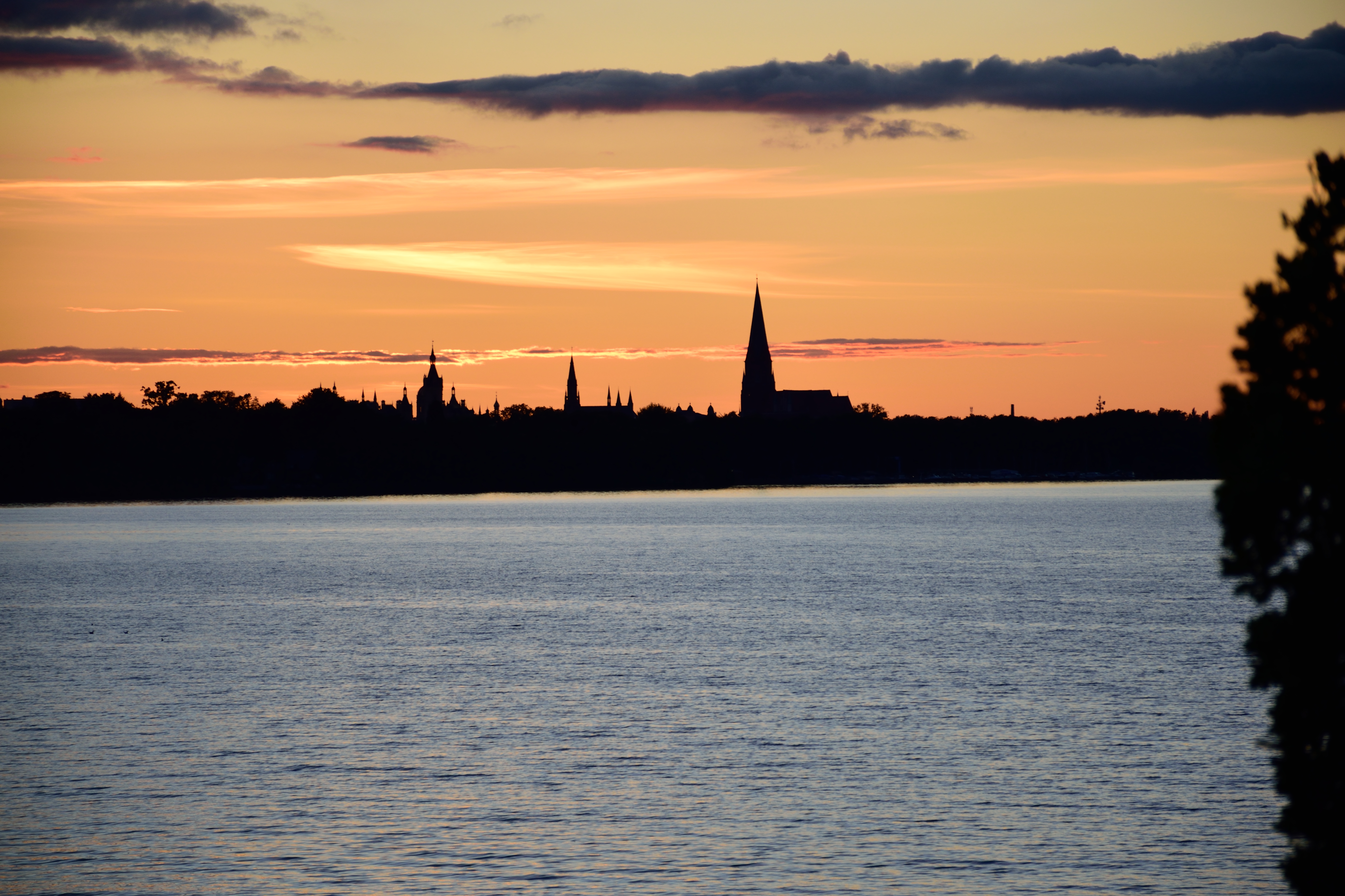 DSC_0031.JPG
