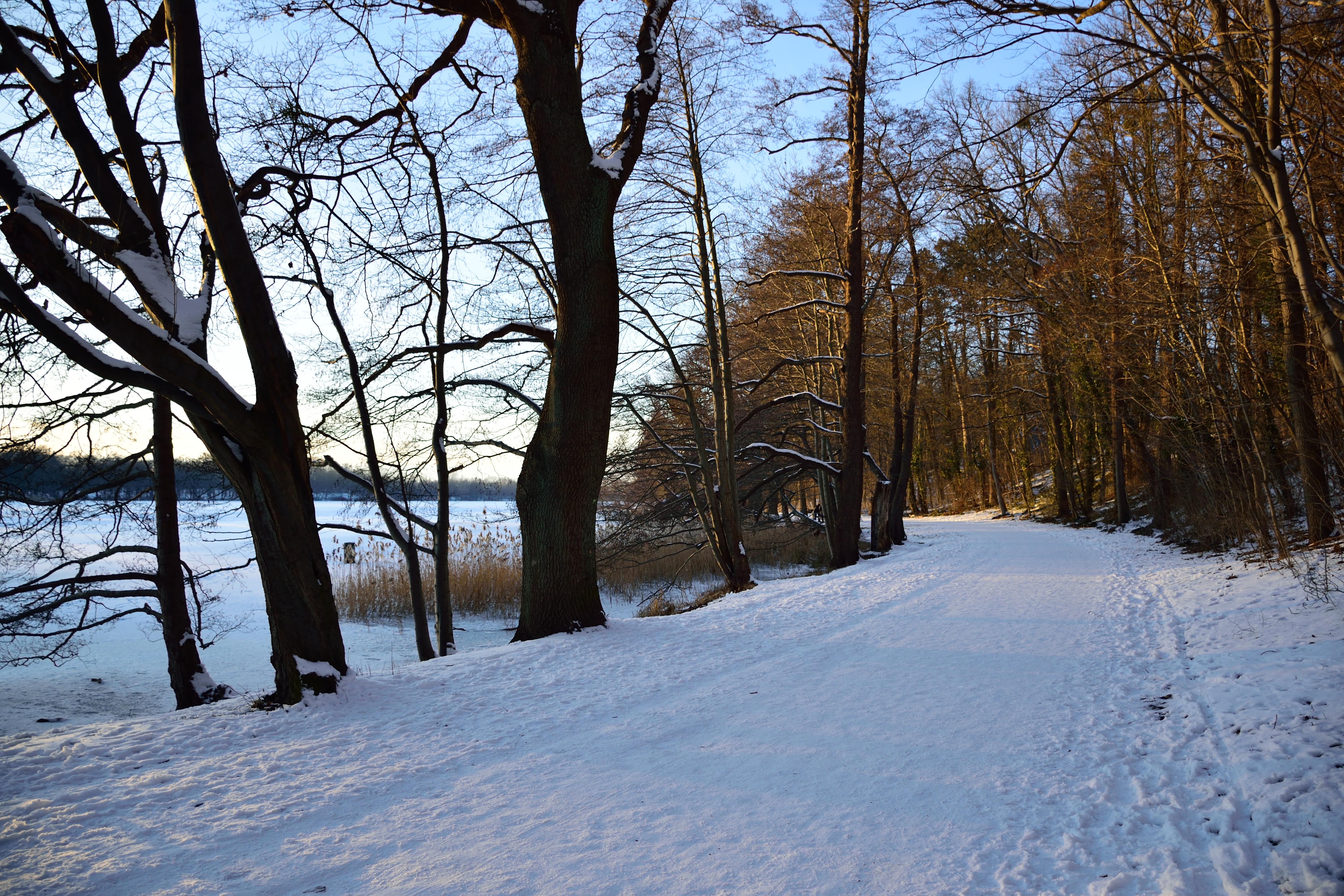 DSC_0016.JPG