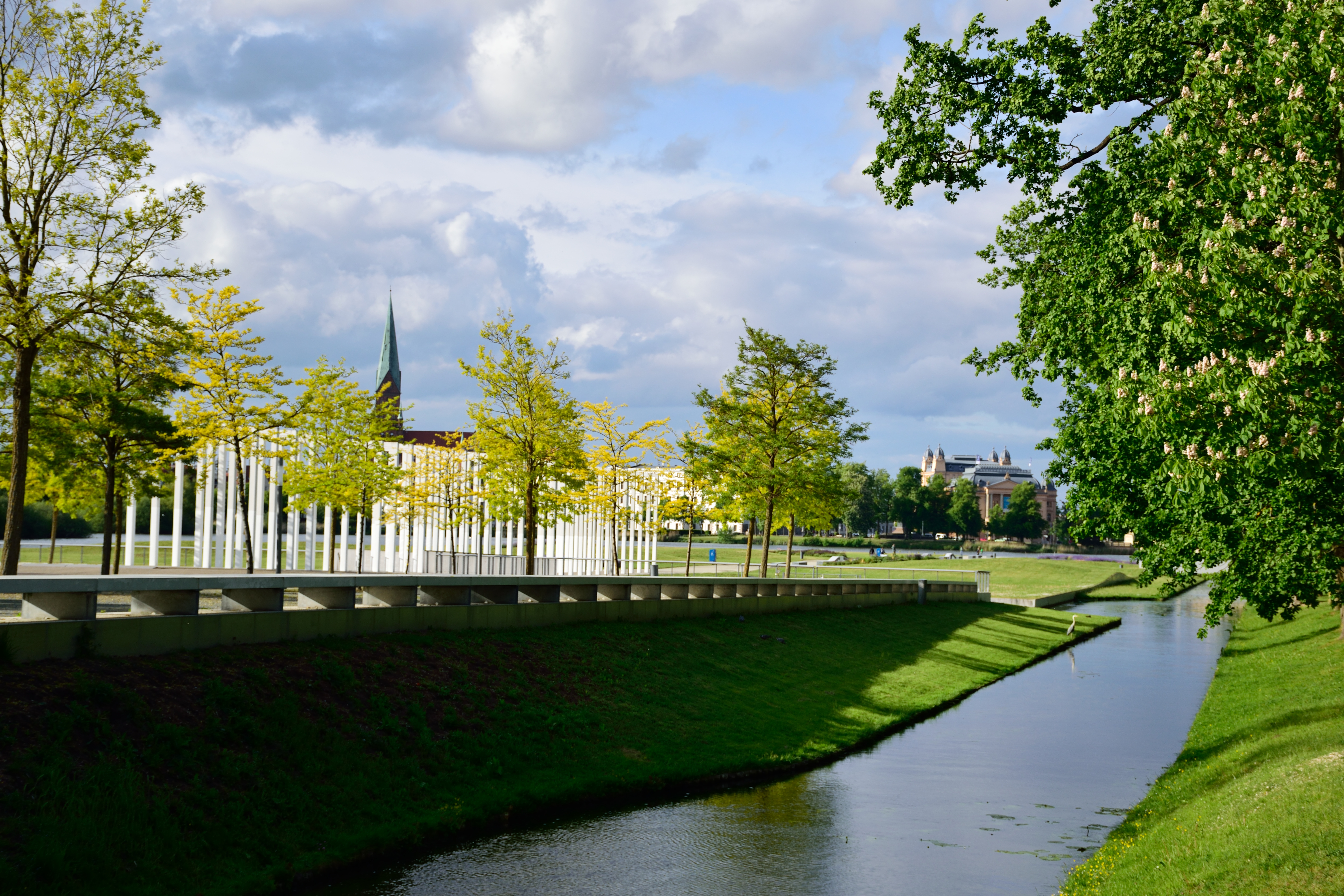 DSC_0250.JPG