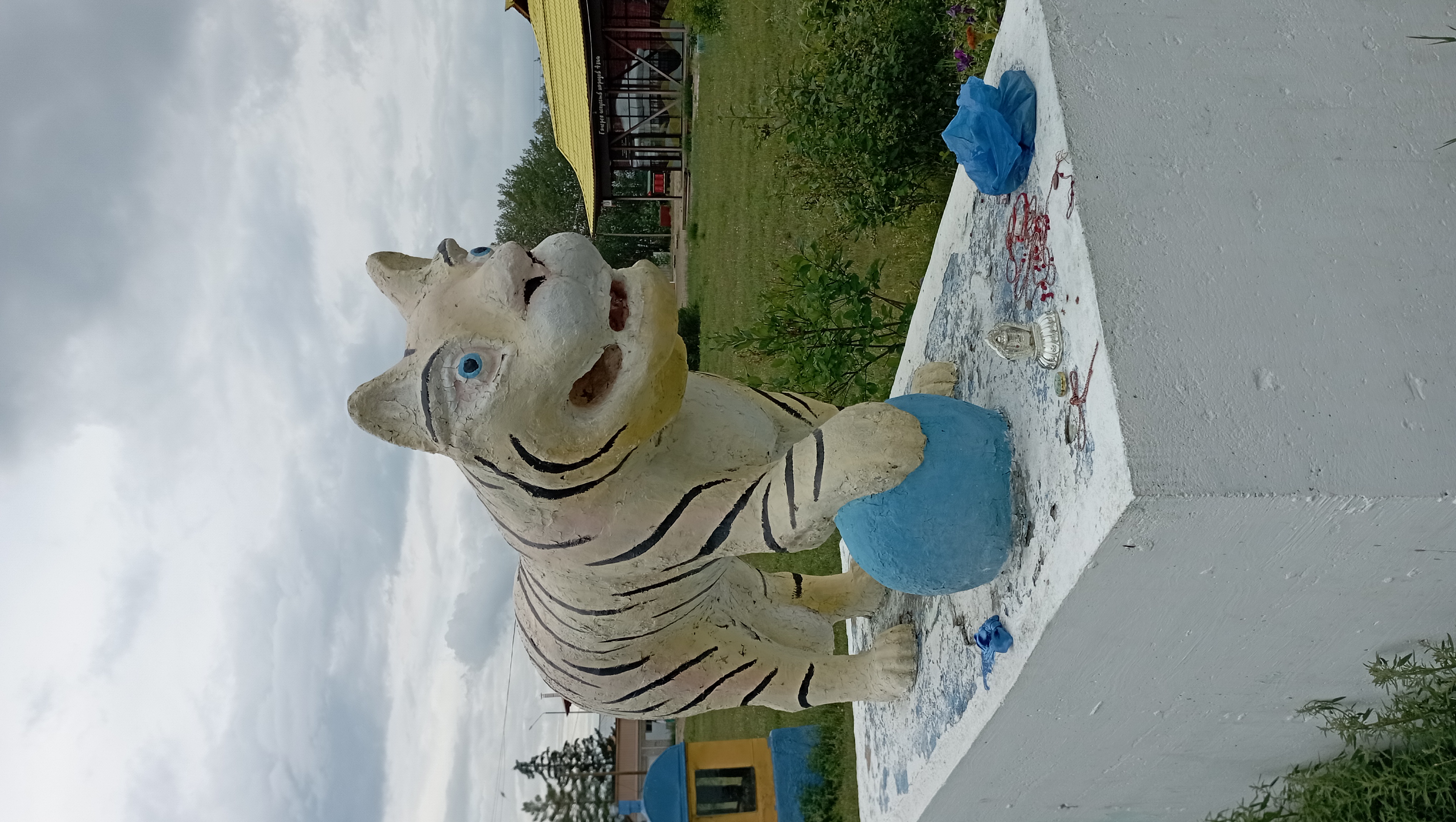 IMG_20240724_160309.jpg
