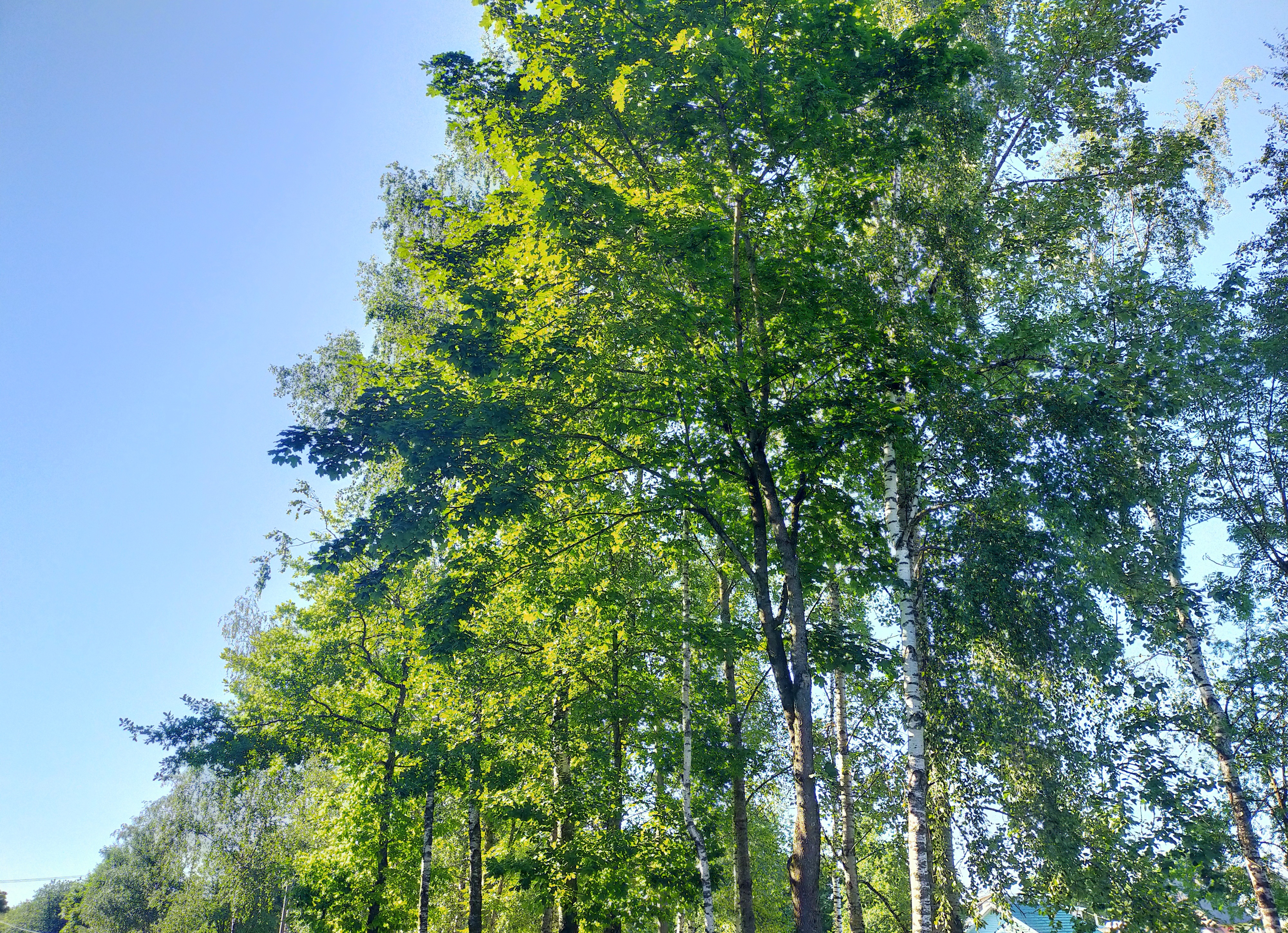 IMG20210630173603.jpg