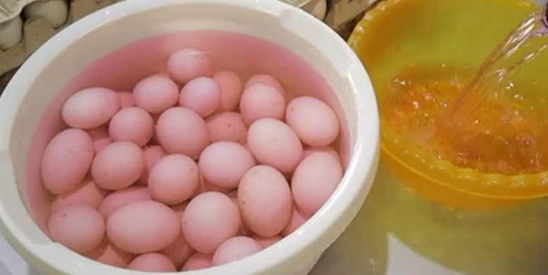 Подготовка яиц к инкубации.