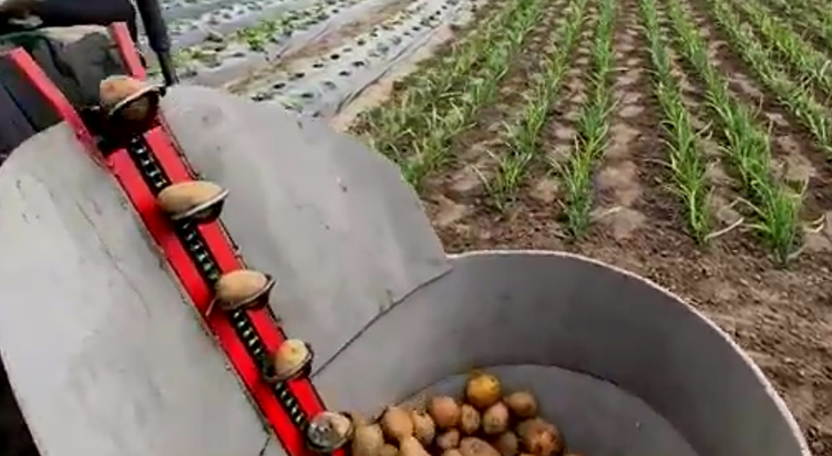 Сеялка для картошки.