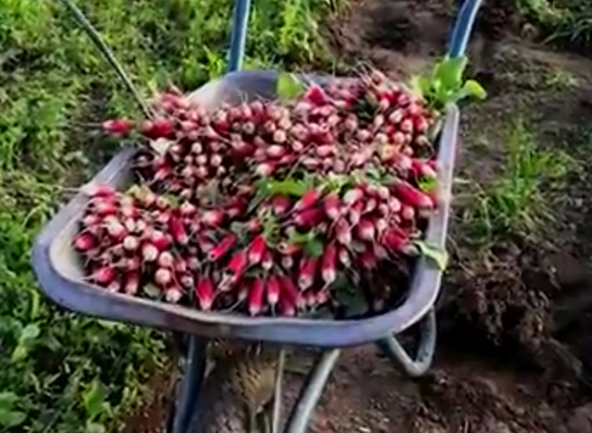А вот и первая прибыль!