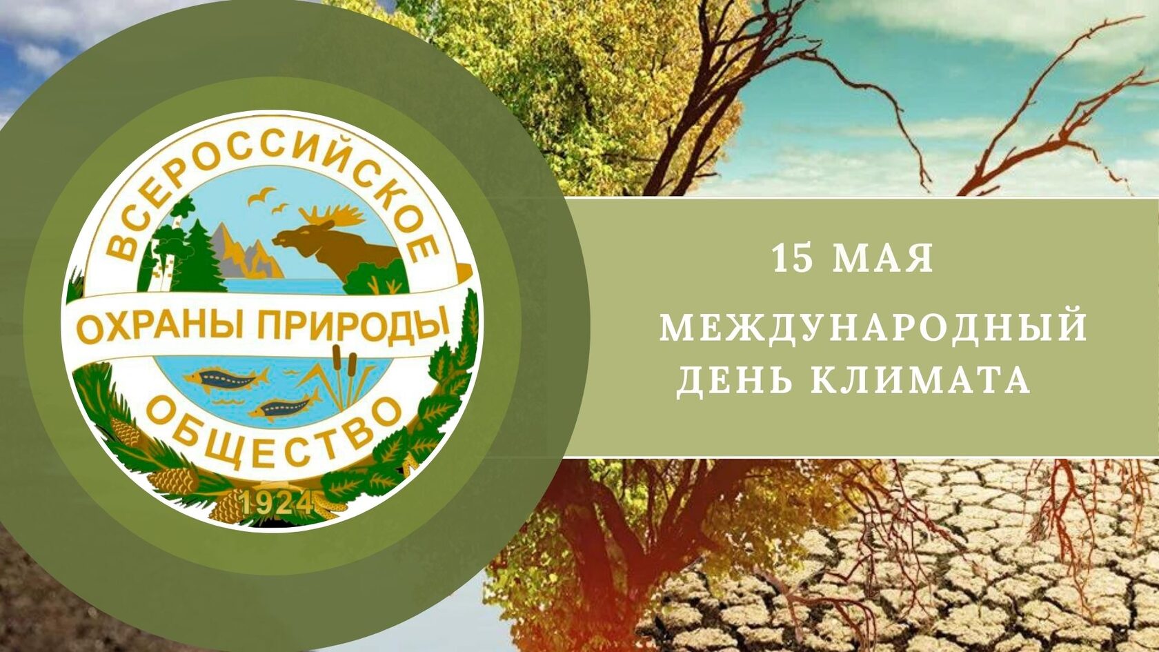 Green_Modern_Ecology.jpg