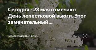Без названия (18).jpg