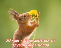 Без названия (24).jpg