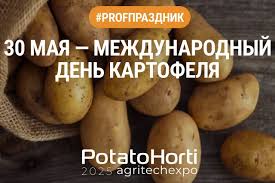 Без названия (22).jpg