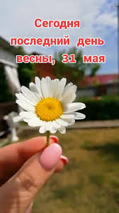 Без названия (30).jpg