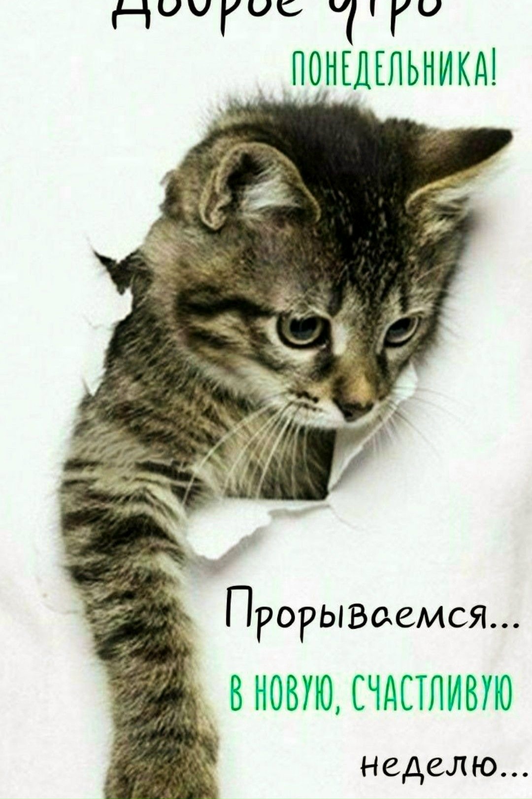 MTgnn7aQEtSnx7VEiKqBuKDIkZd9MmAblmCEHTyEi03mOM8o4VS92p42SC3wTRA14DOOCmeCv0sUrEkb4MEcCuyH.jpg