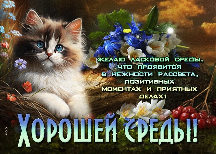 rpkI4CseMqc6C8g43-Dyq_hljeqD1bZ22LU45hprrf8KmlefcjbW-JfsrkxVwuwLtaSl2_zCoA9JfDNg4cJUuBmx.jpg