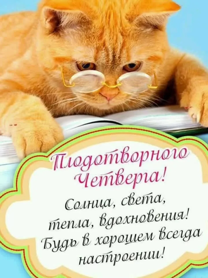 BxqQd9M3V1jiKDT76jsDm8X1nKq7tis53CX9RmS5oBwf_zzgXPW26SCO6d9Se7-s6CNIhlnNRP-JBqjUT3yjX1c8.jpg