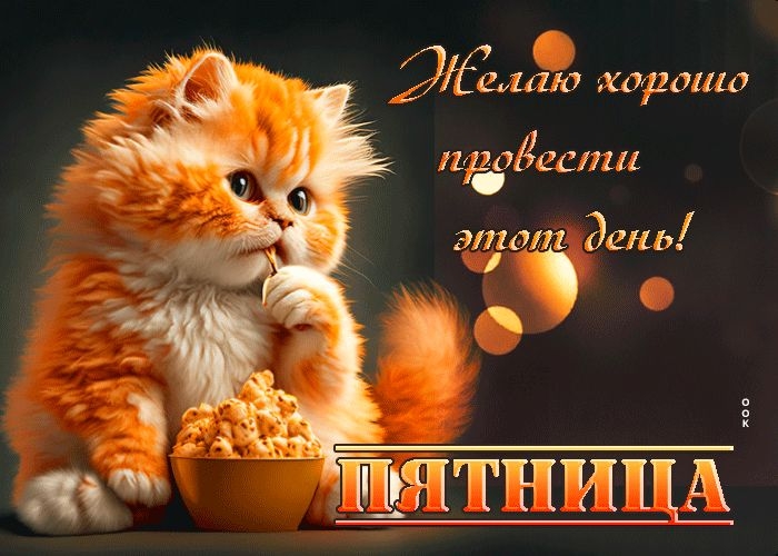 cYbFDGDt44PX4d7Awz1COg3Zh6qo74ao1_pAWvraB51JSgl-ovG-wUY7CUvNF5UL4_SXS7IrTRYwUkbKqUHQCNzx.jpg