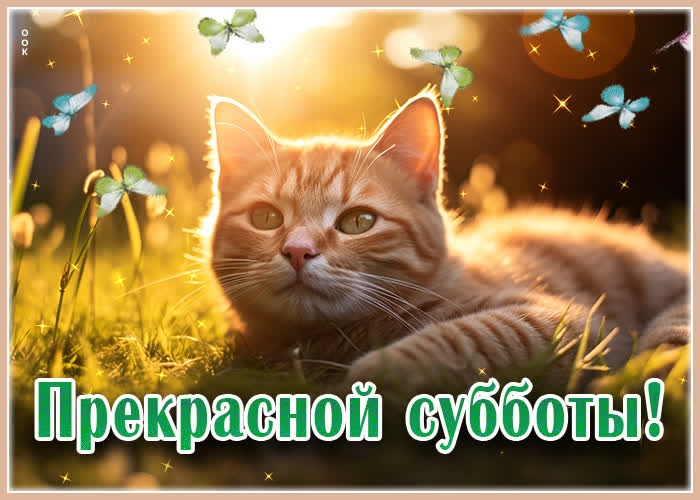 p4-hQispPAWpy9JZgEc9EAX-DS_7US3QeZc5-M6_BzadQYq02Wp1KwWZusLT21AYFdJvMoTPNwcmC9pFX6QN02bO.jpg