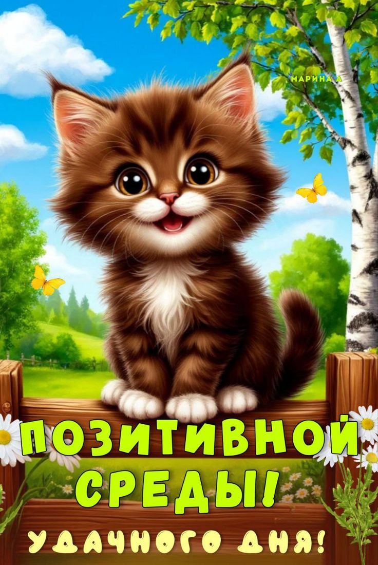 c6c3e739874f7accf2558509a695783d.jpg