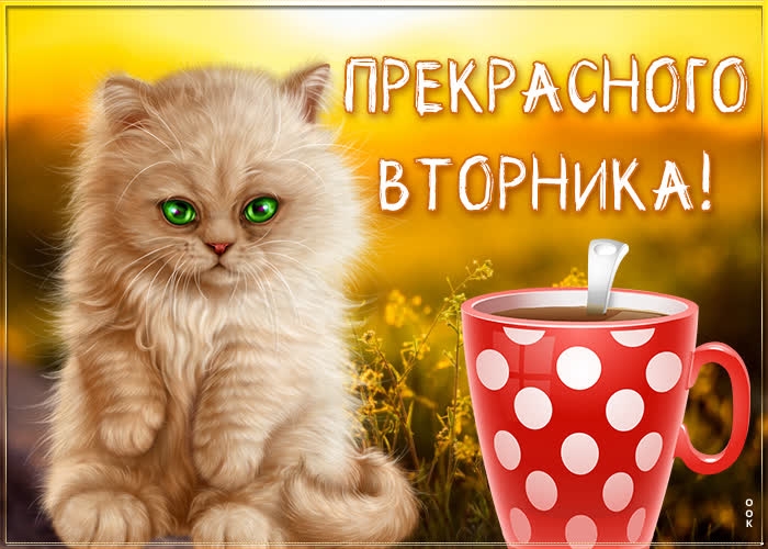 Pd7IUMGrLM2LRnVpVQUxMbsNxAsX_JiRRX0yu4mznjQswV6JU94mS73PUn62sPzg0Oq2ED6Qfswi_vRqK0qGILFK.jpg
