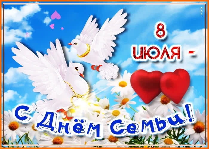 IMG_20260708_114040_924.jpg