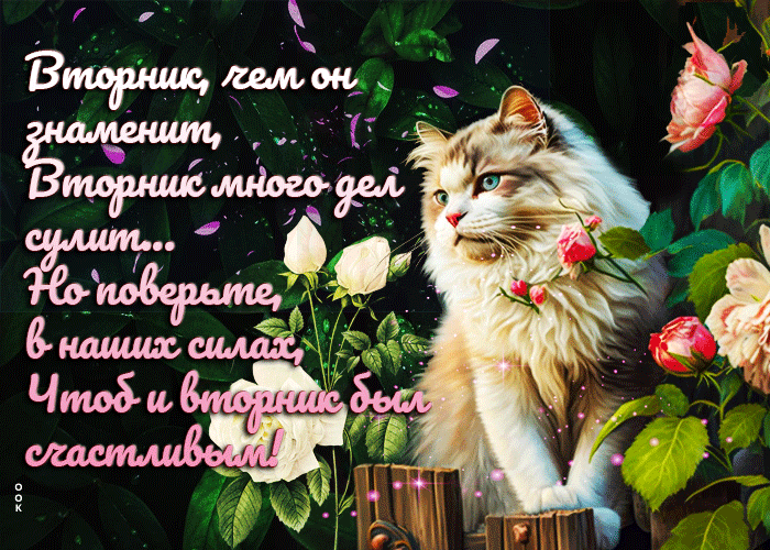 sharePostcardgif-vtornik-cem-on-znamenit-vtornik-mnogo-del-sulit-173501.gif