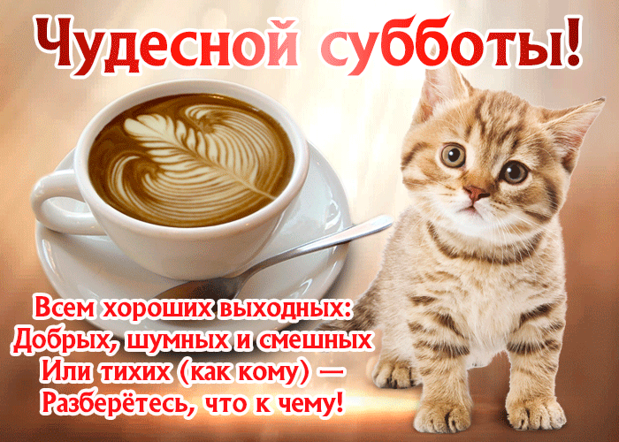 IMG_20260718_085730_010.gif