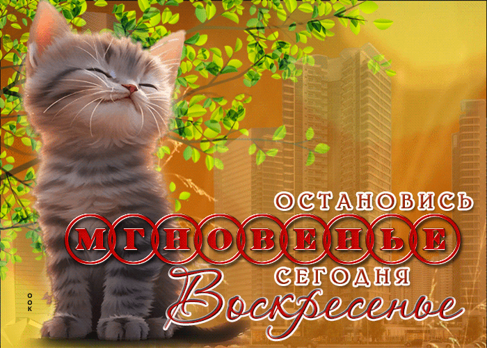 IMG_20260719_074425_096.gif