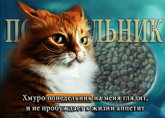 IMG_20260720_091552_973.gif
