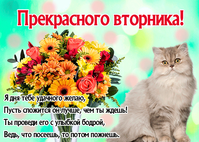 IMG_20260721_065757_983.gif