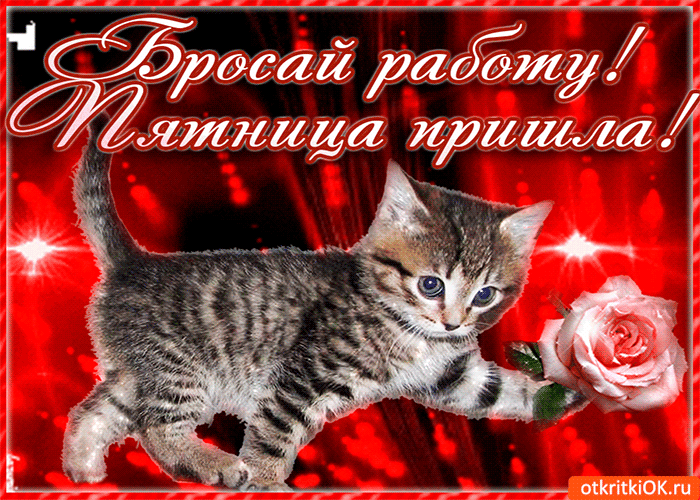 IMG_20260724_133743_595.gif