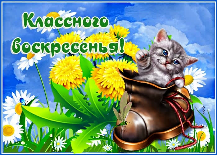 6RNZGXnz5G9oTE0H9JT6xMjzGyE1u9PO5GXl58TMEYs7TbEvWNR932rVgAOj9gsJ8xhg3LF6oT9FI-gShANd-505.jpg