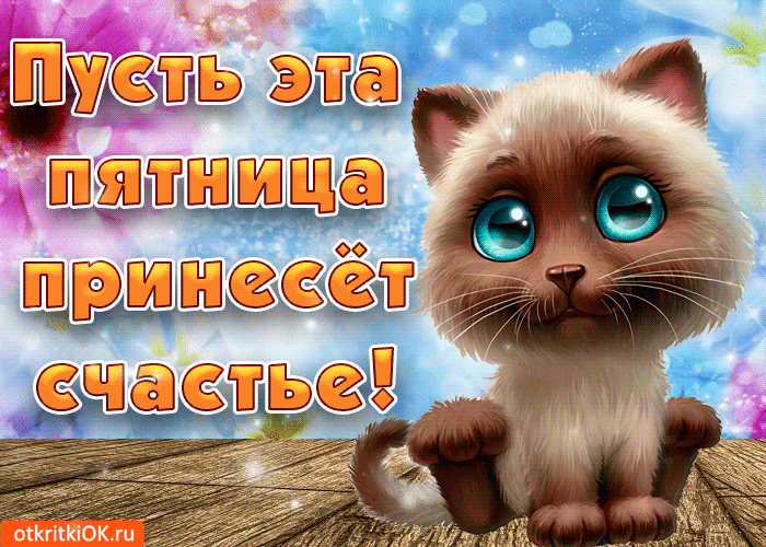 IMG_20260731_075844_144.gif