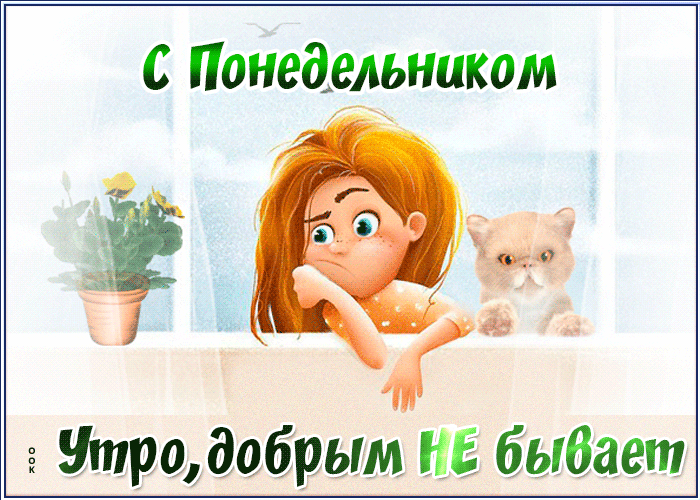 IMG_20260803_094628_441.gif