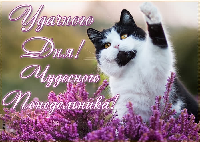 mHdyJKD9FwXcHDKs7L1s_F7jt-9iXhWqk3Yu3cFM8pLFdRE2_L2scXalNBQMtXkh4hRPtrTfzXIt6n509yKqse1x.jpg