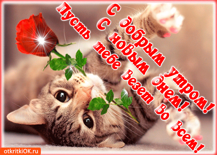 IMG_20260816_094858_525.gif