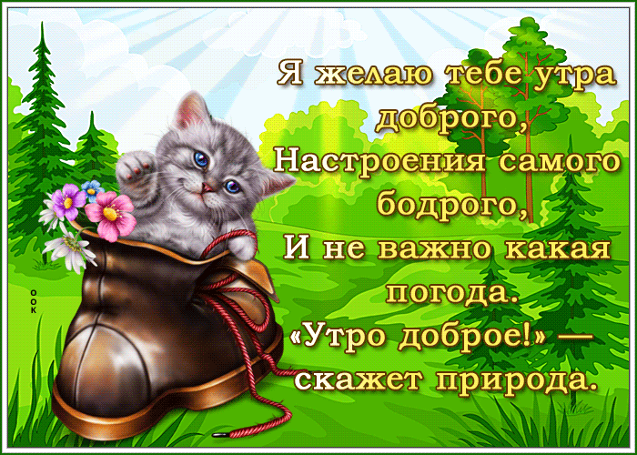 IMG_20260817_083120_030.gif