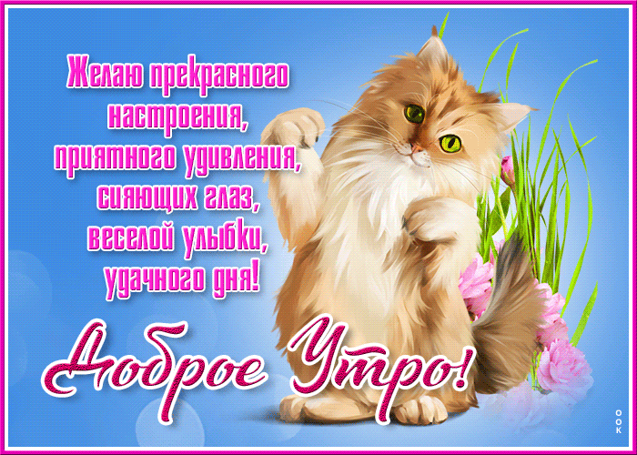 IMG_20260825_065031_241.gif