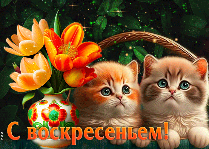 sharePostcardgif-izumitelnaya-gif-otkrytka-s-kotyatami-i-cvetami-s-voskresenem-174906-1.gif