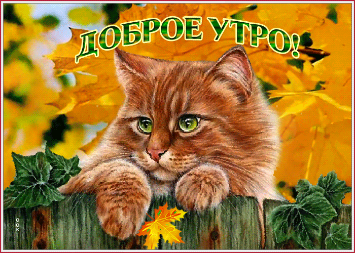 IMG_20260902_105004_825.gif