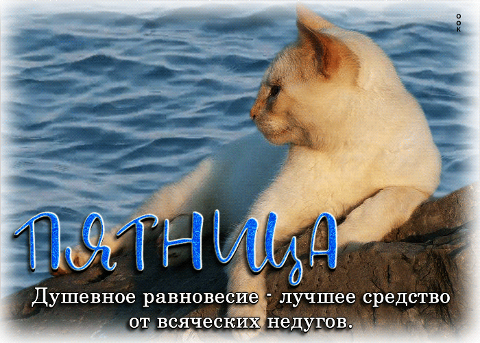 IMG_20260904_081419_434.gif