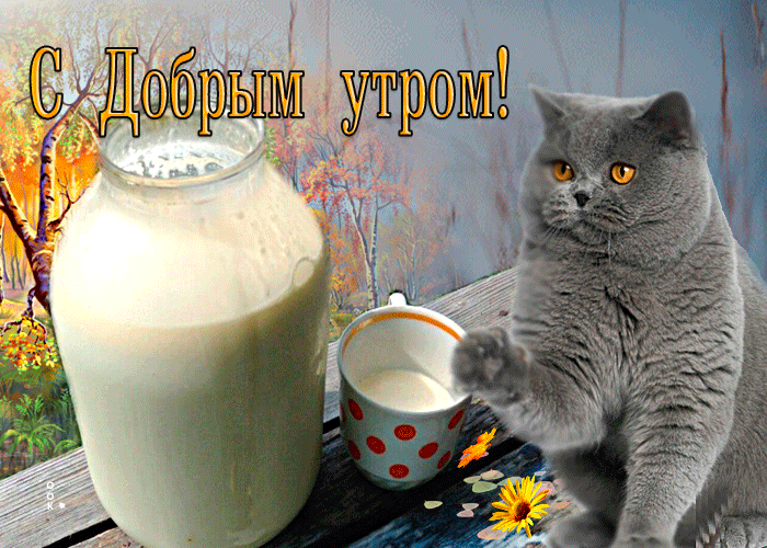 IMG_20260925_091649_311.gif