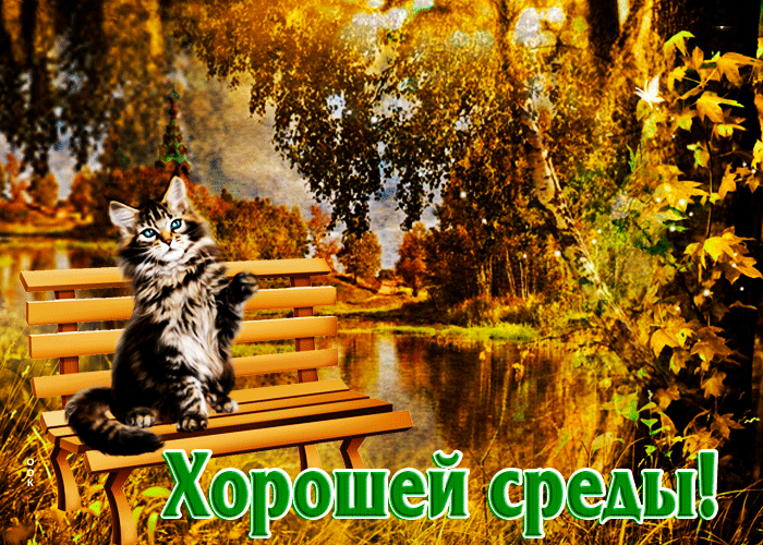sharePostcardgif-fantasticeskaya-gif-otkrytka-xorosei-sredy-163373.gif