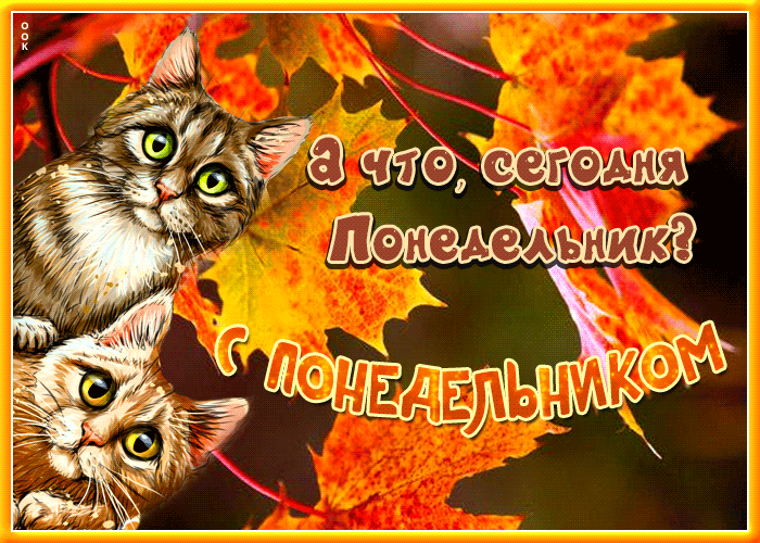 sharePostcardgif-porazitelnaya-otkrytka-s-kotikami-a-cto-segodnya-ponedelnik-146097.gif
