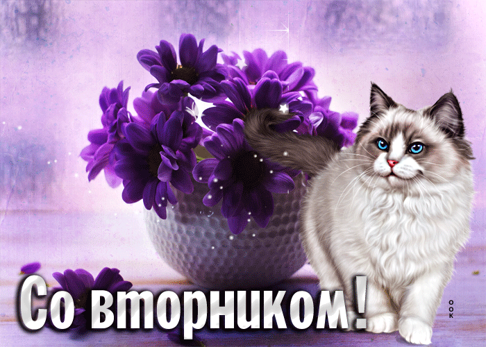 IMG_20261006_095201_190.gif