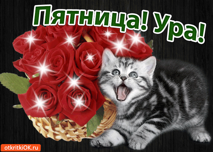 sharePostcardgif-pyatnitsa-ura-7199238.gif