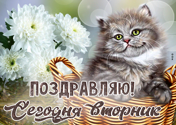 sharePostcardgif-ritmicnaya-gif-otkrytka-pozdravlyayu-segodnya-vtornik-158309.gif