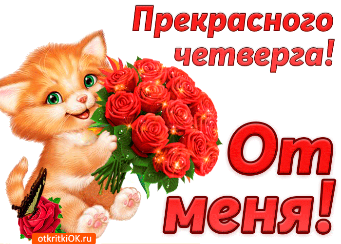 IMG_20261022_112435_473.gif